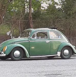 Meet your Posher, Roy